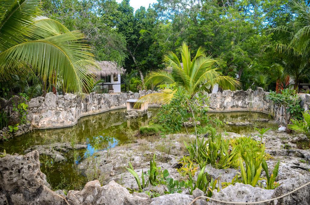 Villa Tortugas Akumal Buitenkant foto